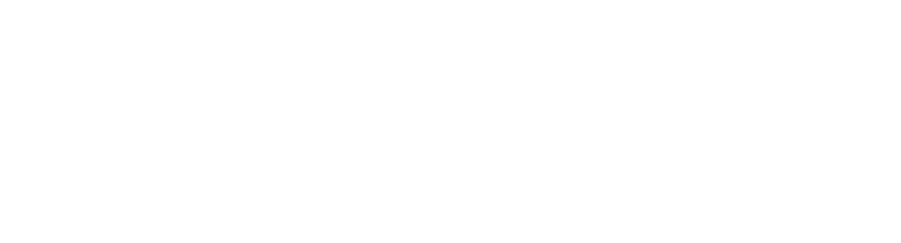 Border States Logo