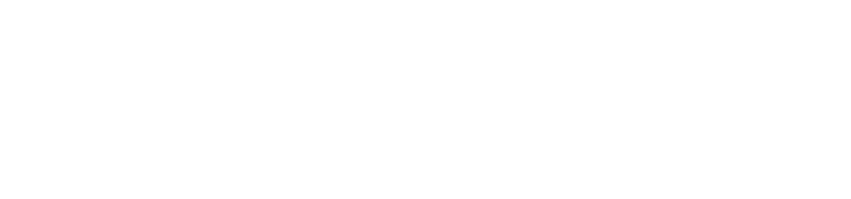 Official-Light-Logo-Horizontal-White